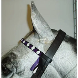 Velvet Browbands Pony (36cm) BLACK/PURPLE/WHITE 