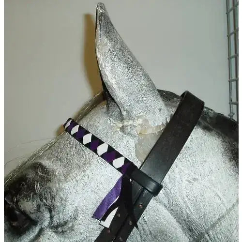 Black and purple velvet browbands horse bridle with satin ribbon accent perfect for navy white cob or red cob use