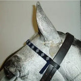 Silver horse head sculpture wearing velvet browbands with a navy white cob argyle patterned strap on black leather bridle