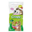 A green and white versele laga herbivores triple variety package of crispy sticks pet treats with forest fruit images