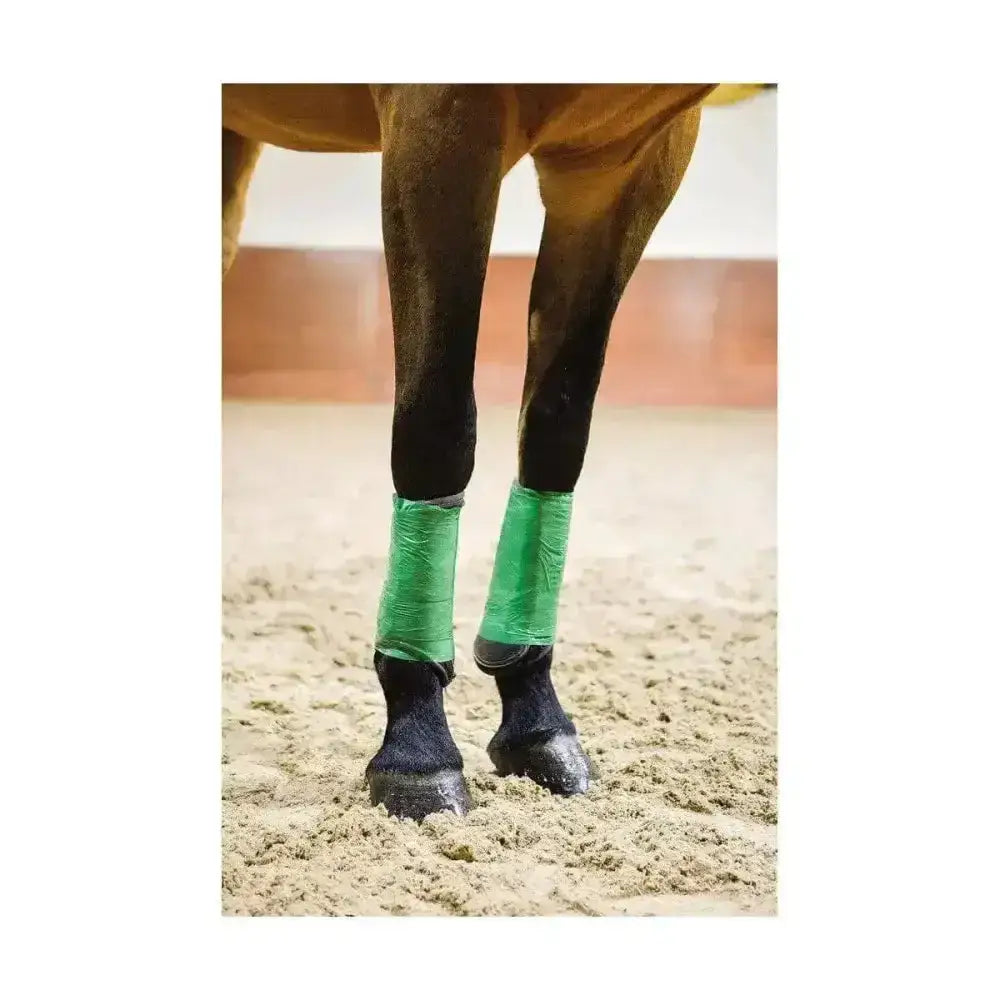 Green vet cling film wraps on horse legs for securing ice packs with multi-purpose conventional film wraps