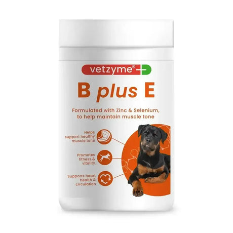 White cylindrical container of vetzyme vitamins b plus e for dogs featuring a rottweiler image on the label
