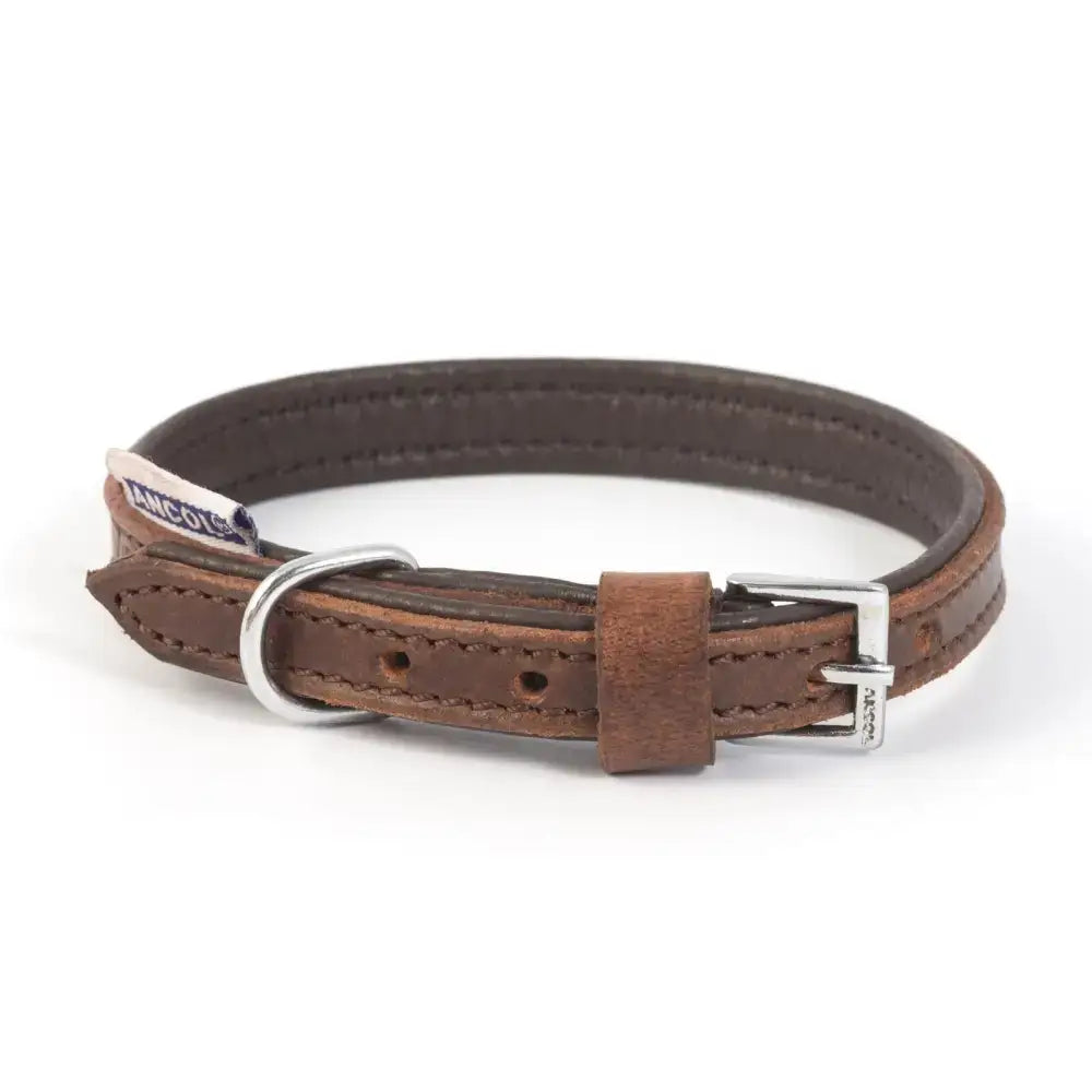 Brown vintage padded leather collar with silver metal buckle and d-ring perfect for any tack shop collection