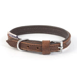 Brown vintage padded leather collar with silver metal buckle and d-ring perfect for any tack shop collection