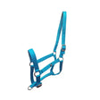 Bright turquoise nylon w-horse harvey headcollar with silver coloured hardware perfect for horses
