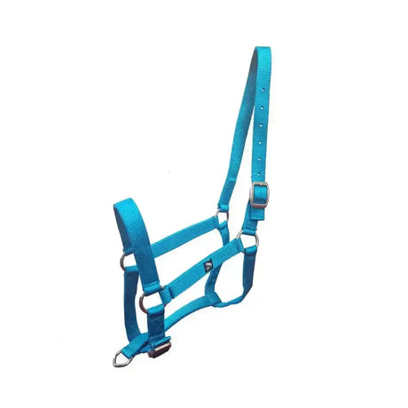 Bright turquoise nylon w-horse harvey headcollar with silver coloured hardware perfect for horses