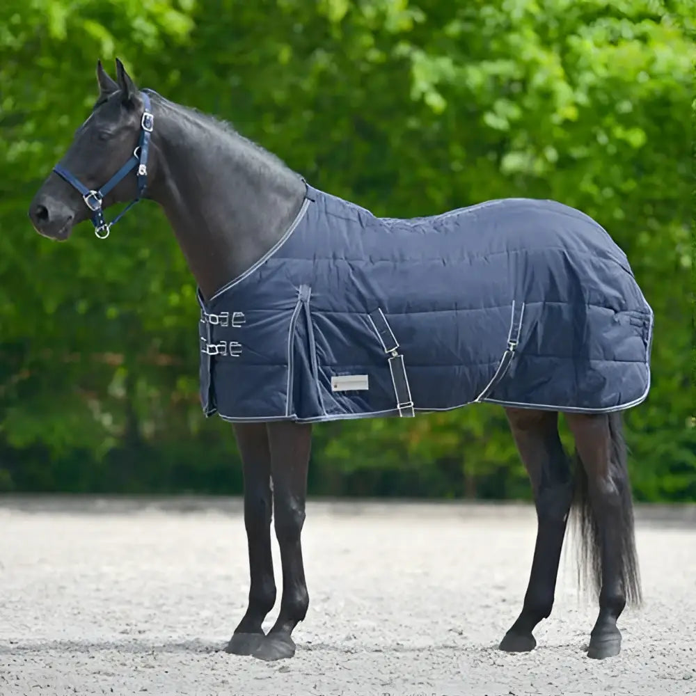 Navy blue quilted waldausen economic stable rug 200g with silver buckles and reinforced stitching for horses
