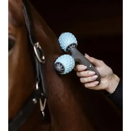 Waldhausen Health + Care Comfort Creator Massage Brushes