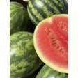 A vibrant red juicy watermelon slice with green striped rind perfect for refreshing equestrian snacks and credit card breaks