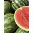 A vibrant red watermelon slice with juicy interior and green striped rind perfect for refreshing equestrian snacks