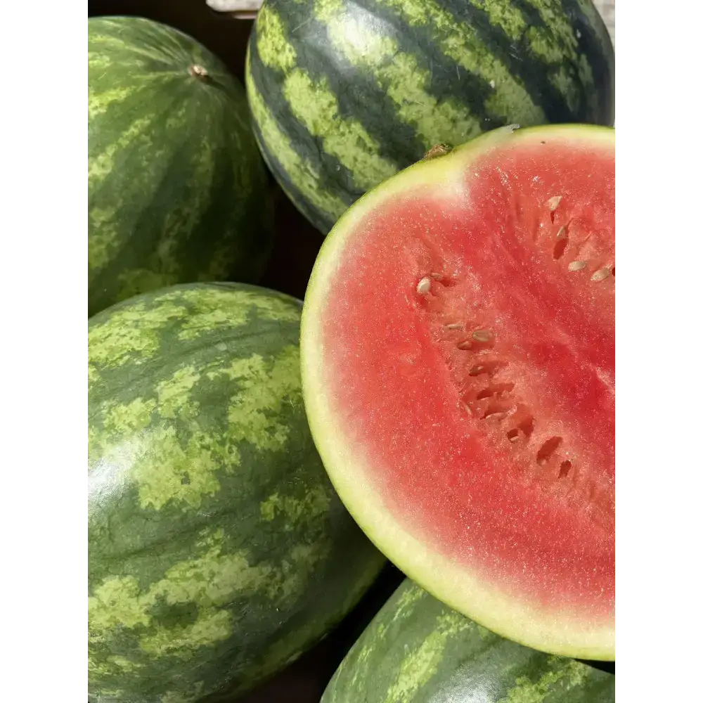 Watermelon fruit