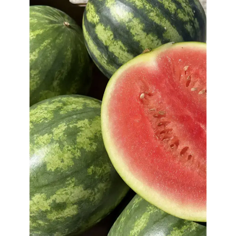 Watermelon fruit