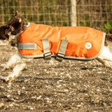 Swish Waterproof Dog Coat - Orange 25cm/10" Dog Coats