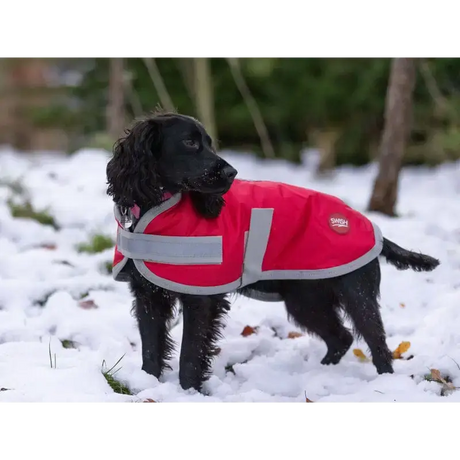 Swish Waterproof Dog Coat - Red 25cm/10" Dog Coats