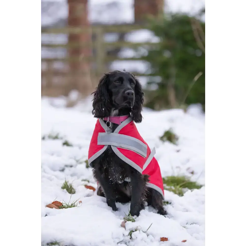 Swish Waterproof Dog Coat - Red 25cm/10" Dog Coats