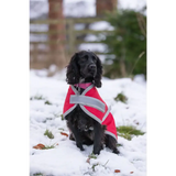 Swish Waterproof Dog Coat - Red 25cm/10" Dog Coats