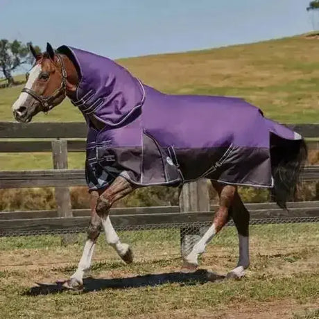 Purple and black weatherbeeta comfitec dynamic 100g medium horse blanket with denier triple weave and reflective trim