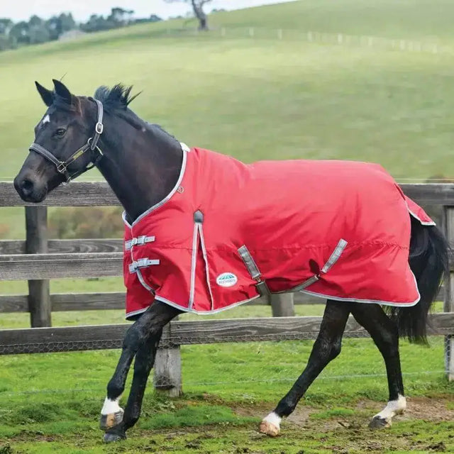 WeatherBeeta Horse Rugs ComFiTec Classic 0g Light Weight Standard Neck Turnout Rugs 5'9" Turnout Rugs Barnstaple Equestrian Supplies