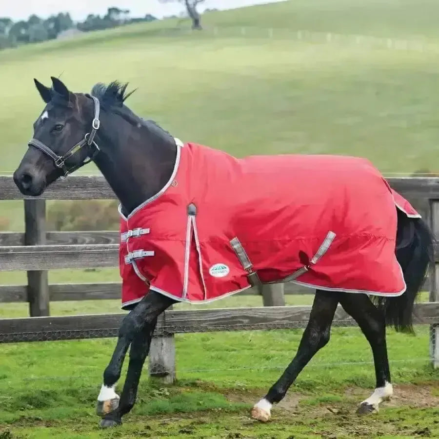 WeatherBeeta Horse Rugs ComFiTec Classic 0g Light Weight Standard Neck Turnout Rugs 5'9" Turnout Rugs