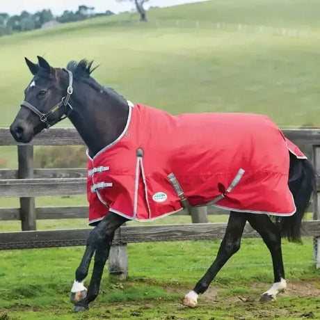 WeatherBeeta Horse Rugs ComFiTec Classic 0g Light Weight Standard Neck Turnout Rugs 5'9" Turnout Rugs