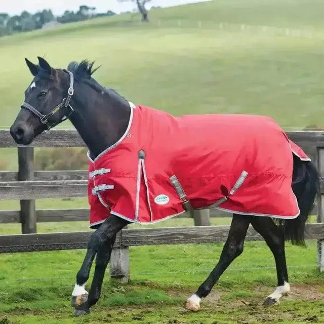 WeatherBeeta Horse Rugs ComFiTec Classic 0g Light Weight Standard Neck Turnout Rugs 5'9" Turnout Rugs