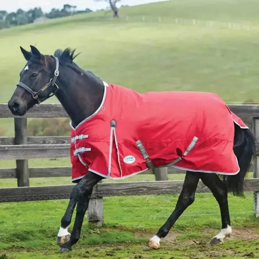 WeatherBeeta Horse Rugs ComFiTec Classic 0g Light Weight Standard Neck Turnout Rugs 5'9" Turnout Rugs