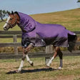 Purple and black weatherbeeta horse rugs comfitec plus turnout rug with reflective trim and light fill for all weather use