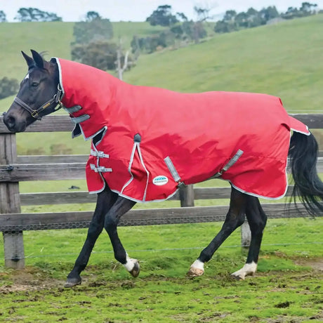 WeatherBeeta Turnout Rugs ComFiTec Classic 220g Medium Combo Neck Red / Navy 6'3" Turnout Rugs Barnstaple Equestrian Supplies