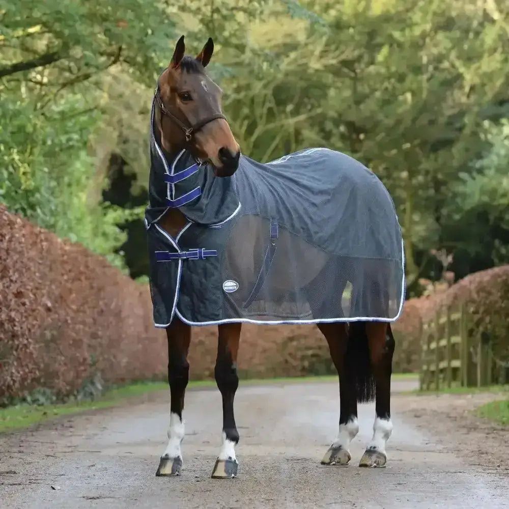 Dark blue weatherbeeta wick dri cooler rug with purple white trim fleece upper and mesh ventilation panel