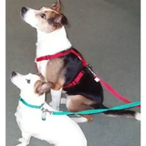 Webbing Dog Harness Small Red 