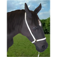 Webbing Show Halter 8" Nose 