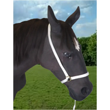 Webbing Show Halter 8" Nose 
