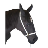 Webbing Show Halter 8" Nose 
