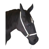 Black horse wearing a white tubular webbing show halter with a small feather and lead rein for equestrian tack