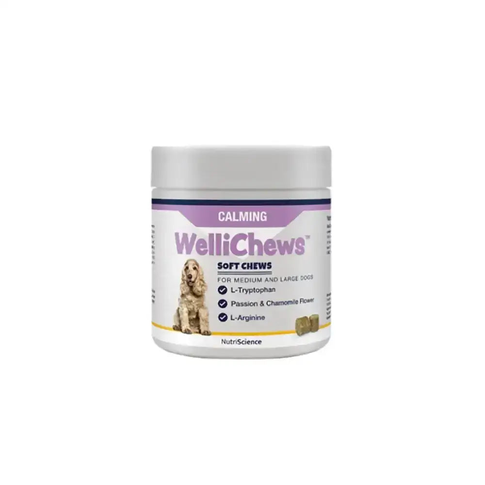 White cylindrical container of wellichews calming soft chews with purple label for medium and large dogs