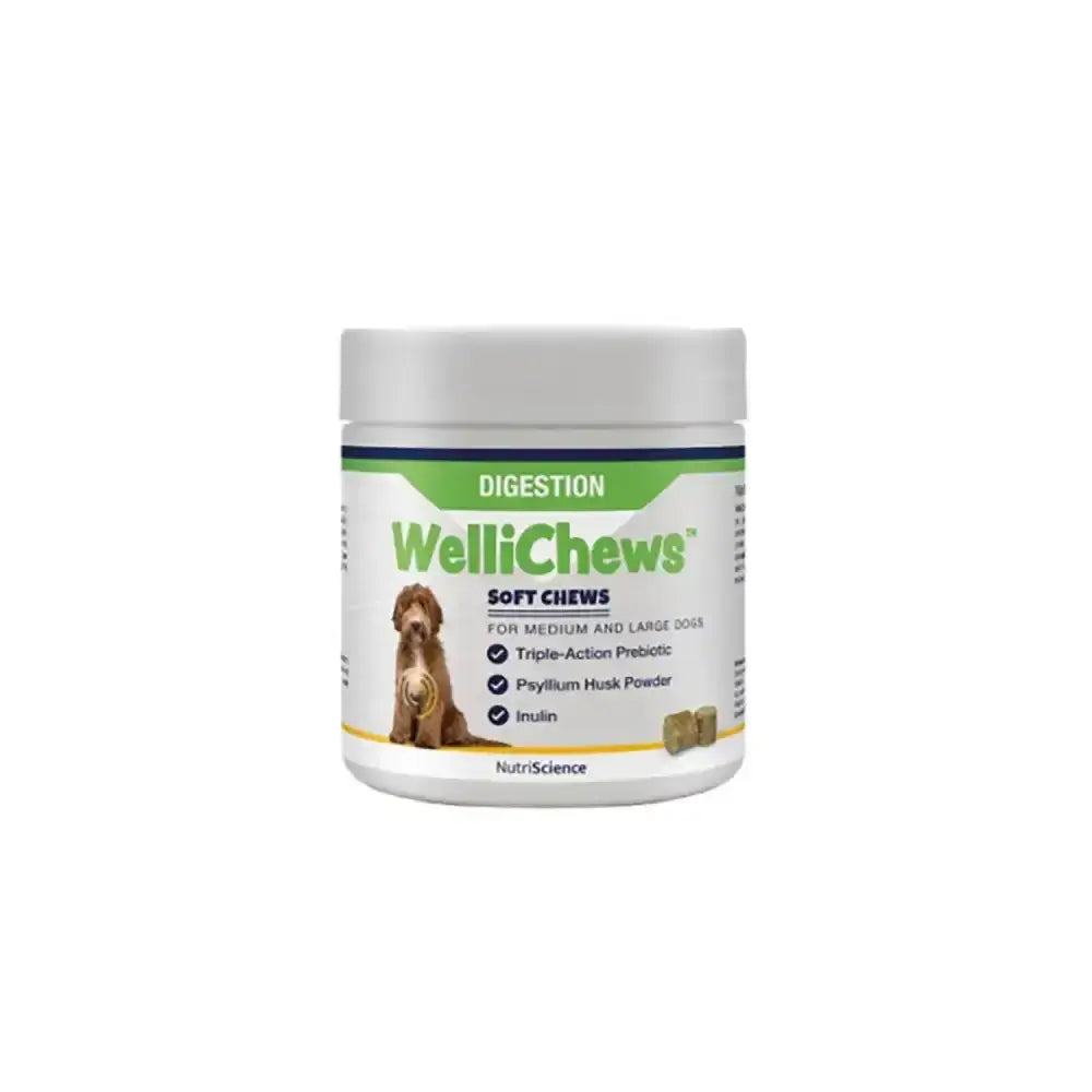White cylindrical container with silver lid and green label featuring wellichews digestion soft chews brand name in bold green font