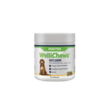 White cylindrical container with silver lid and green label featuring wellichews digestion soft chews brand name in bold green font