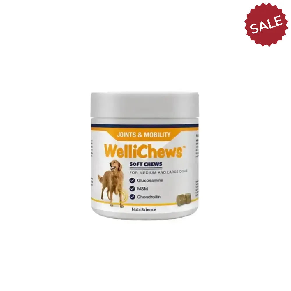 Wellichews Joints & Mobility Soft Chews 120 Pieces Pet Supplements