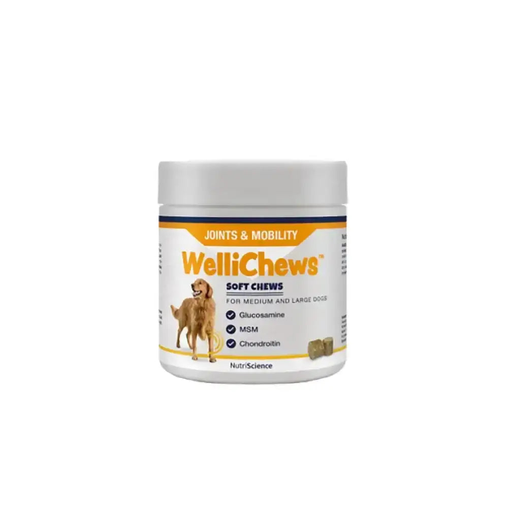 White plastic jar of wellichews joints mobility soft chews for medium and large dogs with orange and navy label
