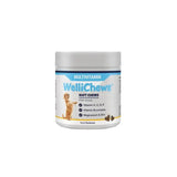 White cylindrical container of wellichews multivitamin soft chews for dogs with light blue yellow label for skin health