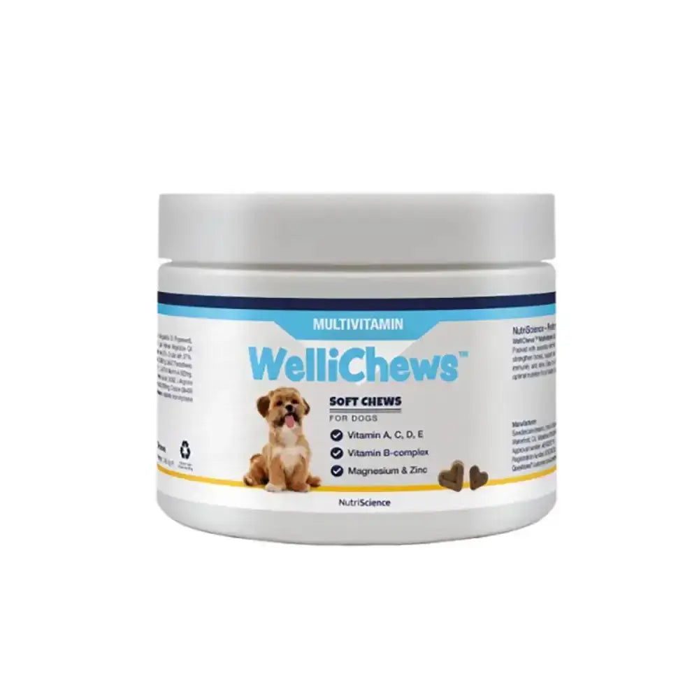 White plastic jar of wellichews multivitamin soft chews for dogs with blue yellow label promoting skin health