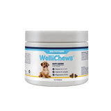White plastic jar of wellichews multivitamin soft chews for dogs with blue yellow label promoting skin health