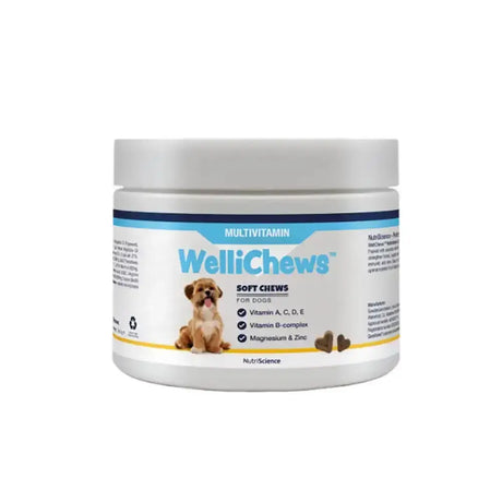 White plastic jar of wellichews multivitamin soft chews for dogs with blue yellow label promoting skin health