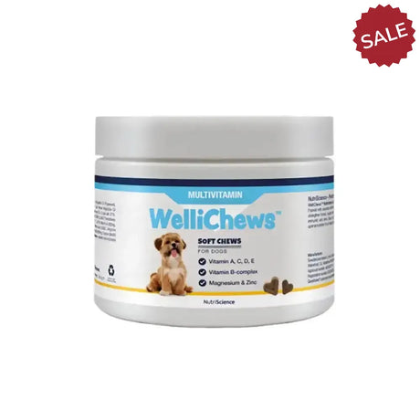 Wellichews Multivitamin Soft Chews 150 Pieces Pet Supplements