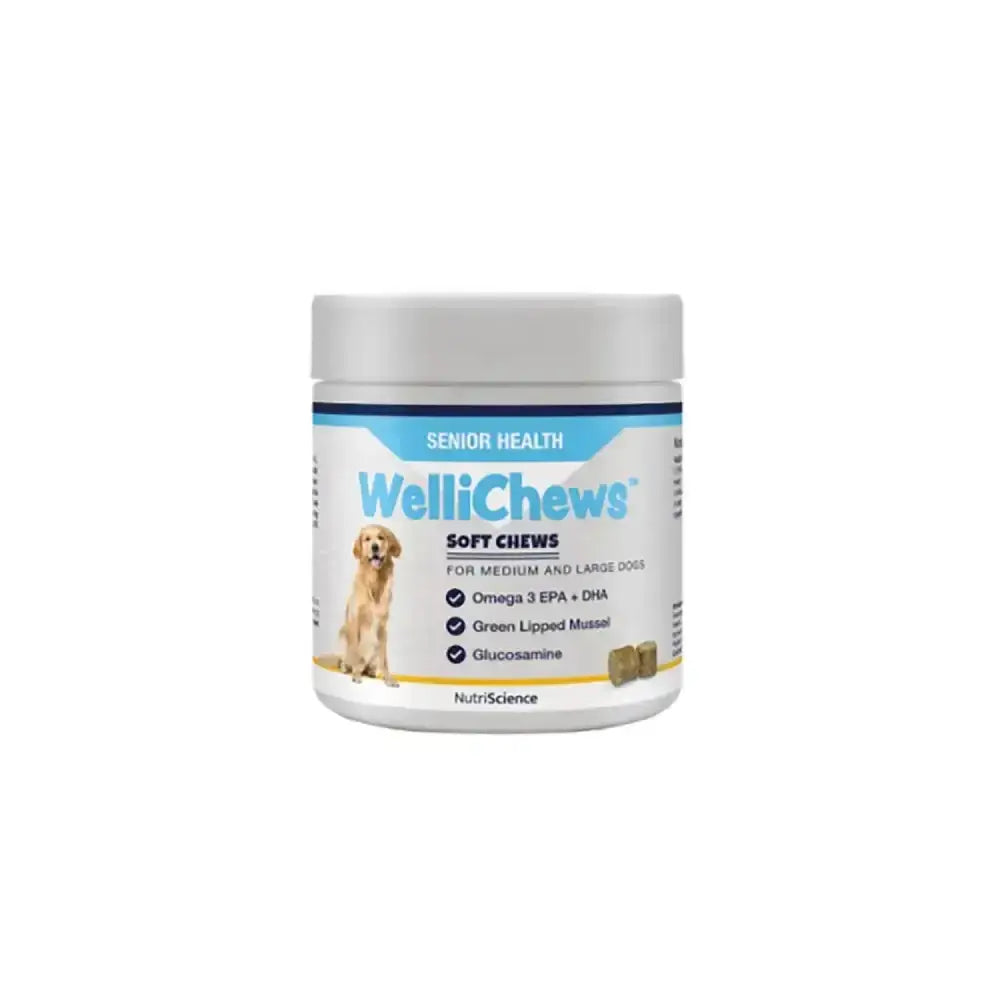 White cylindrical container of wellichews senior soft chews with blue label and golden retriever for medium large dogs