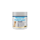 White cylindrical container of wellichews senior soft chews with blue label and golden retriever for medium large dogs