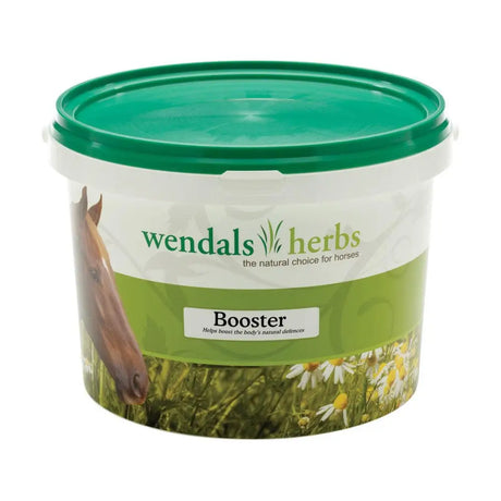 Green-lidded plastic tub of wendals booster horse supplements with horse’s head and daisies supports horse’s natural resistance