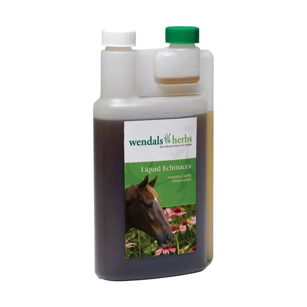 Wendals liquid echinacea in a clear plastic bottle with green cap and horse image for horse’s natural immune support
