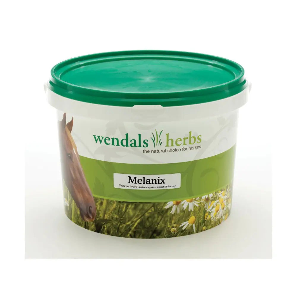 Green-lidded plastic tub of wendals melanix natural horse supplement with horse and daisies label for horse vitamins