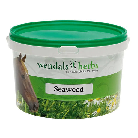 Green-lidded plastic tub of wendals seaweed horse vitamins with horse illustration and daisy field design label